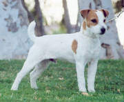foxton_locks_ted.jpg